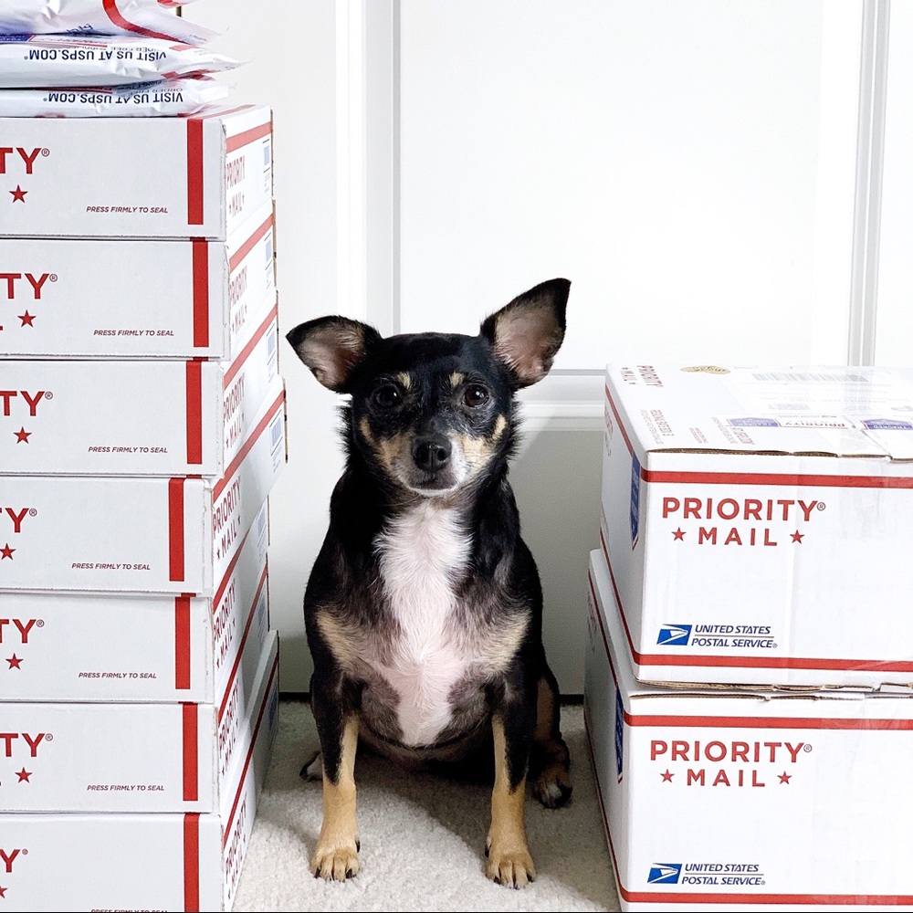 W E L C O M E 💖 - Picture 8 of 8